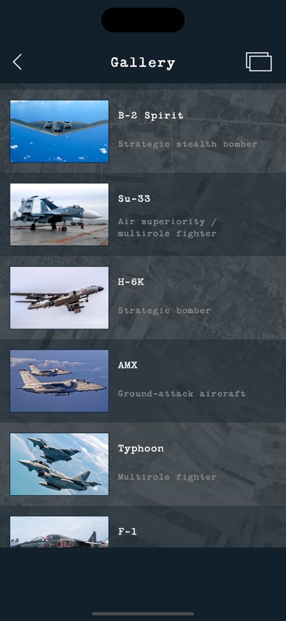 Guess the Modern Aircraft
