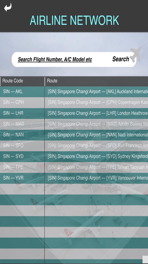 Aviation Management